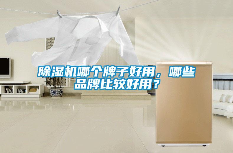 除濕機(jī)哪個(gè)牌子好用，哪些品牌比較好用？