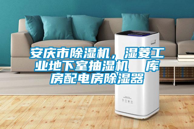 安慶市除濕機(jī)，濕菱工業(yè)地下室抽濕機(jī)  庫房配電房除濕器