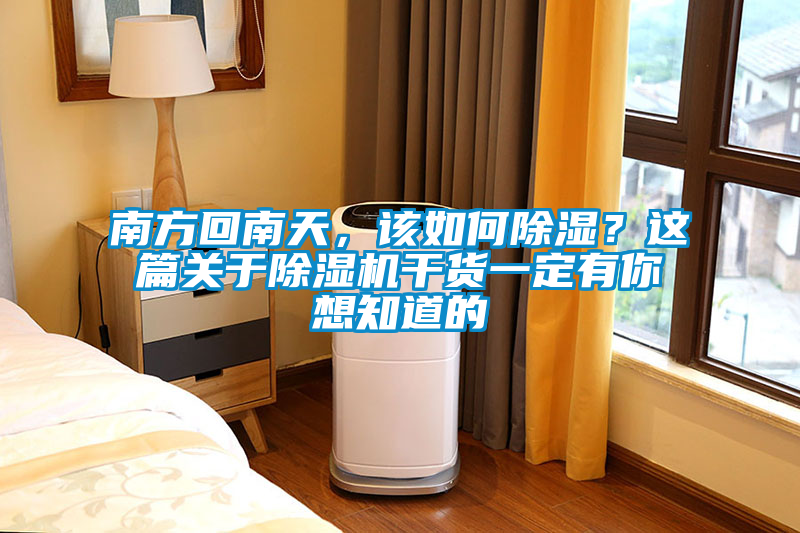 南方回南天，該如何除濕？這篇關(guān)于除濕機(jī)干貨一定有你想知道的