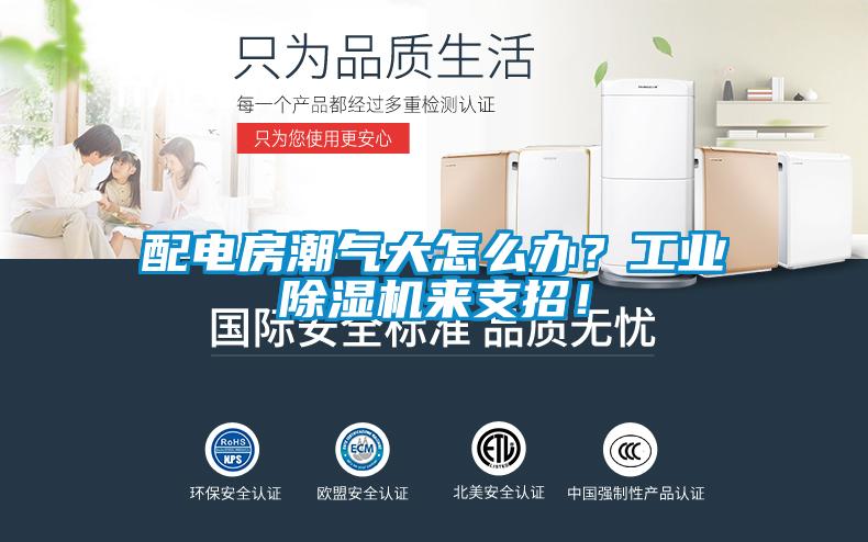 配電房潮氣大怎么辦？工業(yè)除濕機(jī)來(lái)支招！