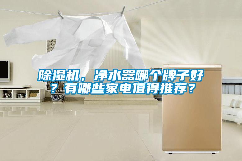 除濕機(jī)，凈水器哪個牌子好？有哪些家電值得推薦？