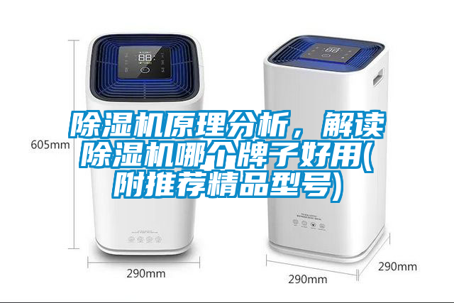 除濕機原理分析，解讀除濕機哪個牌子好用(附推薦精品型號)