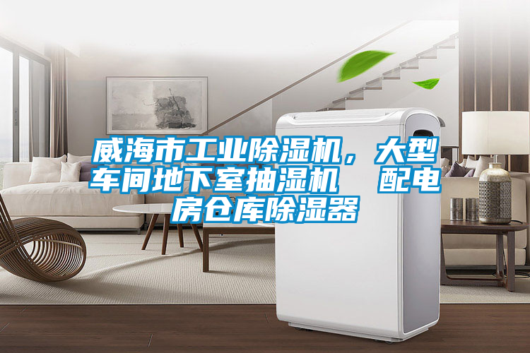 威海市工業(yè)除濕機，大型車間地下室抽濕機  配電房倉庫除濕器