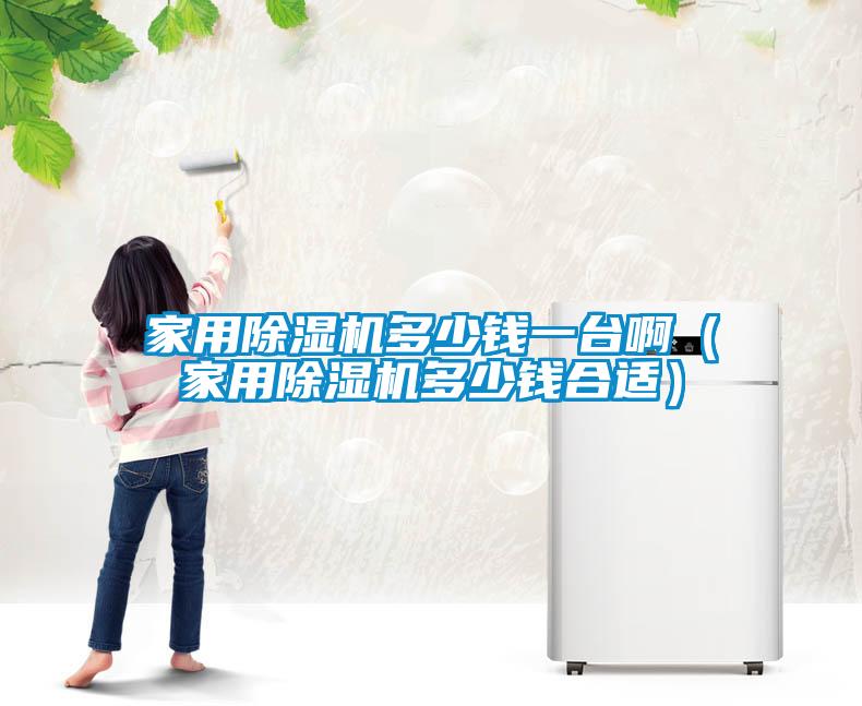 家用除濕機(jī)多少錢一臺啊（家用除濕機(jī)多少錢合適）