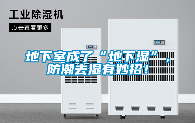 地下室成了“地下濕”，防潮去濕有妙招！