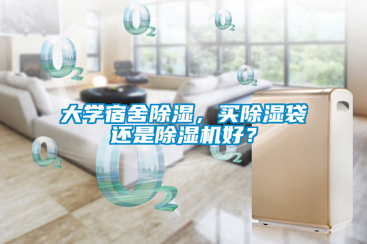 大學(xué)宿舍除濕，買除濕袋還是除濕機好？
