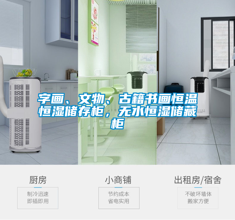 字畫、文物、古籍書畫恒溫恒濕儲(chǔ)存柜，無(wú)水恒濕儲(chǔ)藏柜
