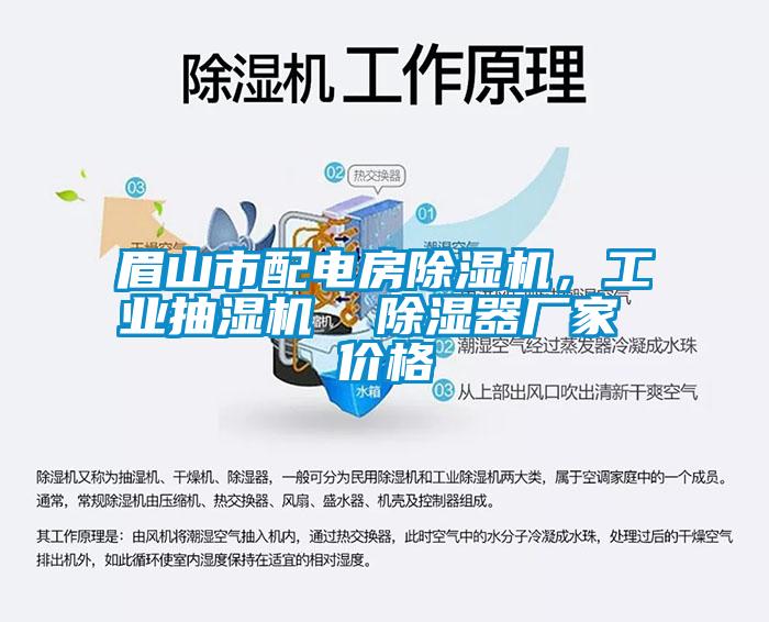 眉山市配電房除濕機(jī)，工業(yè)抽濕機(jī)  除濕器廠家 價(jià)格