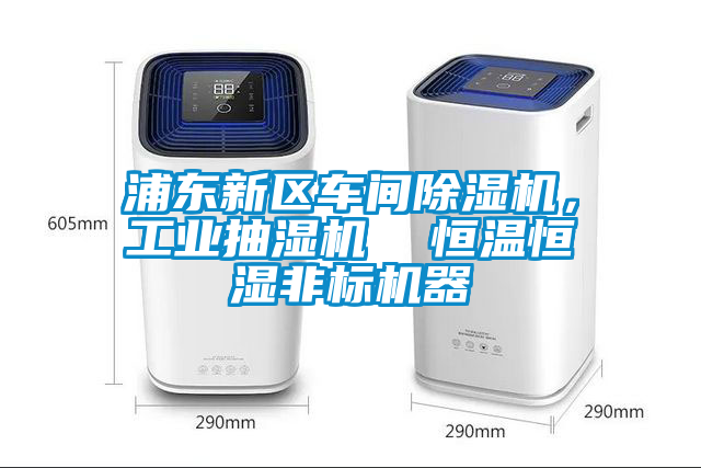 浦東新區(qū)車間除濕機，工業(yè)抽濕機  恒溫恒濕非標機器