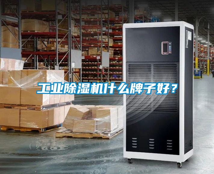 工業(yè)除濕機(jī)什么牌子好？