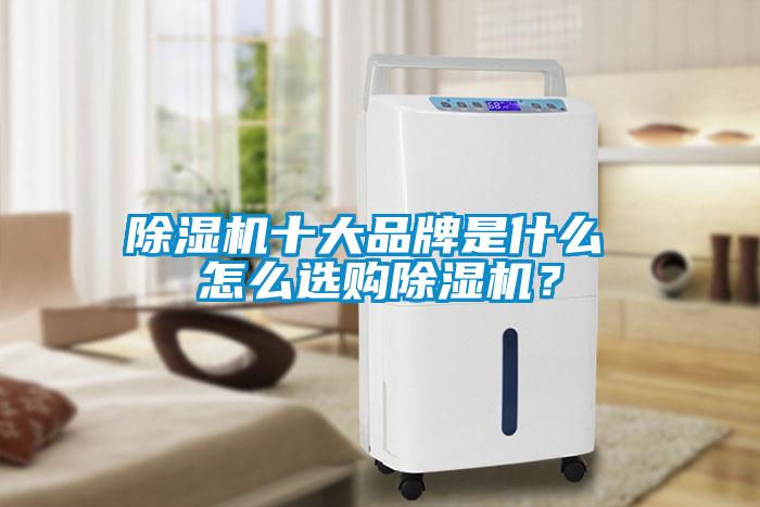 除濕機十大品牌是什么 怎么選購除濕機？