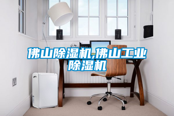 佛山除濕機,佛山工業(yè)除濕機