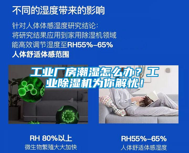 工業(yè)廠房潮濕怎么辦？工業(yè)除濕機為你解憂！