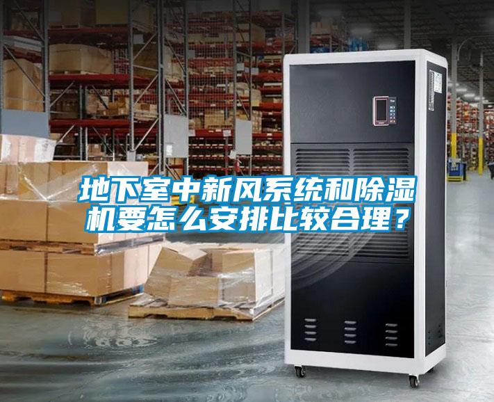 地下室中新風(fēng)系統(tǒng)和除濕機(jī)要怎么安排比較合理？