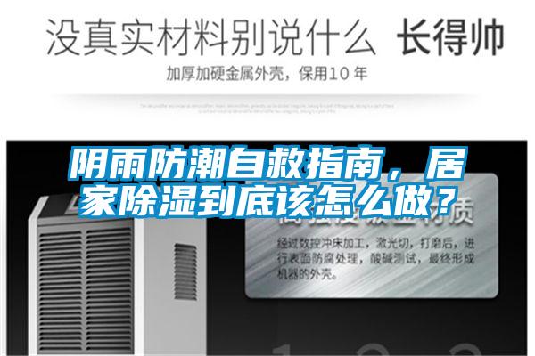 陰雨防潮自救指南，居家除濕到底該怎么做？