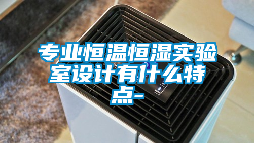 專業(yè)恒溫恒濕實驗室設(shè)計有什么特點(diǎn)-