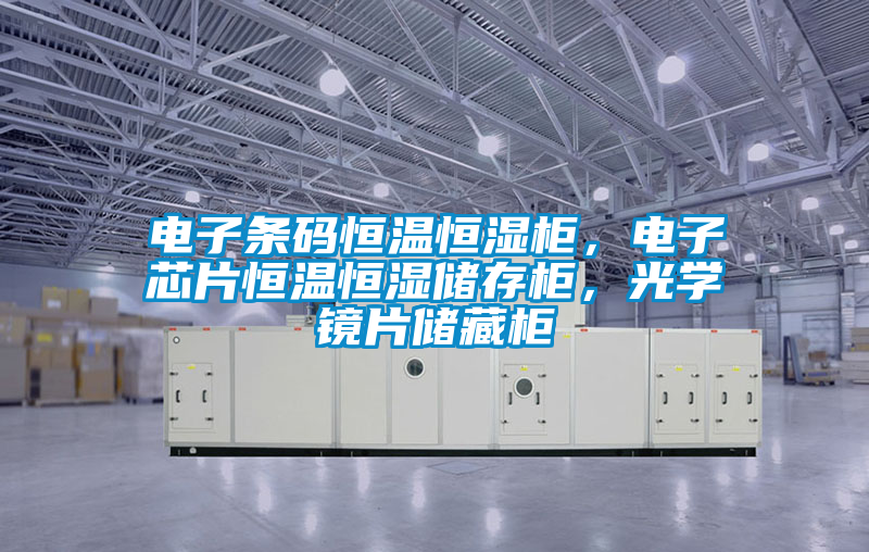 電子條碼恒溫恒濕柜，電子芯片恒溫恒濕儲存柜，光學(xué)鏡片儲藏柜
