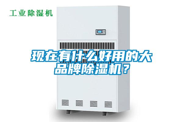 現(xiàn)在有什么好用的大品牌除濕機(jī)？