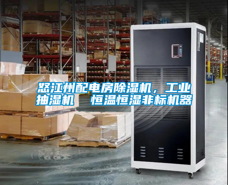怒江州配電房除濕機，工業(yè)抽濕機  恒溫恒濕非標機器