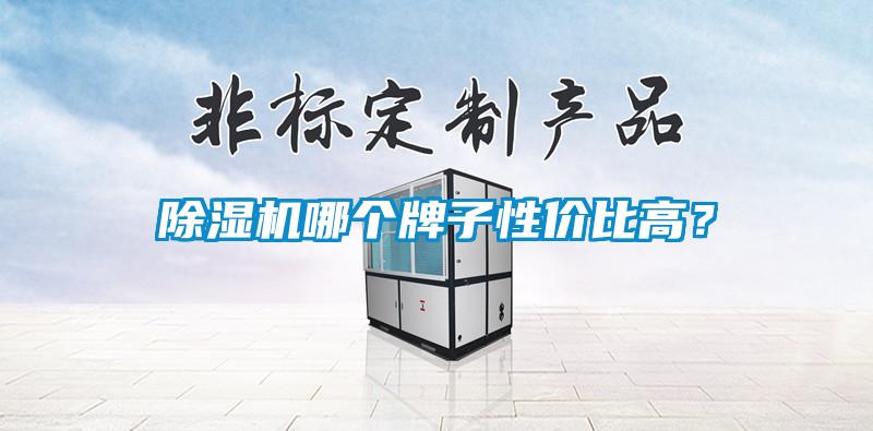 除濕機(jī)哪個(gè)牌子性價(jià)比高？