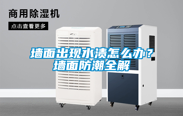 墻面出現(xiàn)水漬怎么辦？墻面防潮全解