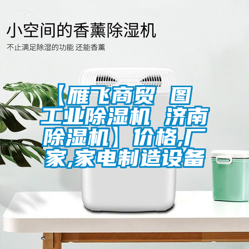 【雁飛商貿(mào) 圖  工業(yè)除濕機(jī) 濟(jì)南除濕機(jī)】價格,廠家,家電制造設(shè)備