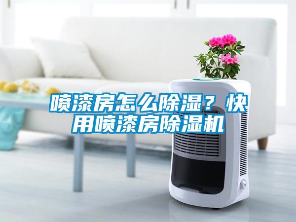 噴漆房怎么除濕？快用噴漆房除濕機(jī)