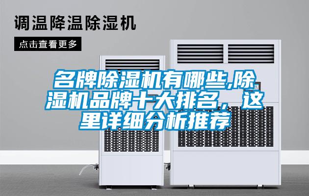 名牌除濕機(jī)有哪些,除濕機(jī)品牌十大排名，這里詳細(xì)分析推薦