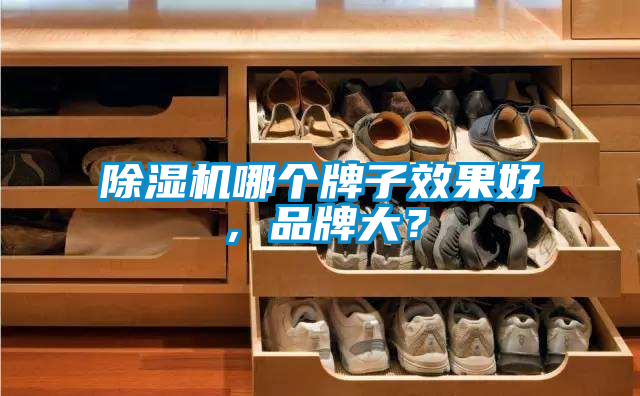 除濕機哪個牌子效果好，品牌大？
