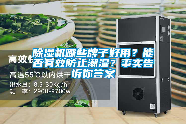 除濕機哪些牌子好用？能否有效防止潮濕？事實告訴你答案