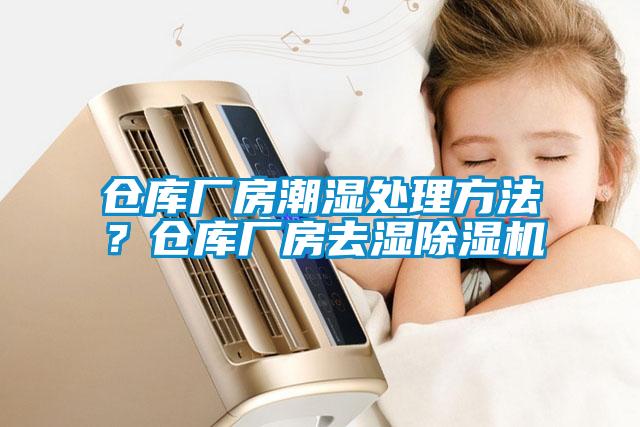 倉庫廠房潮濕處理方法？倉庫廠房去濕除濕機(jī)