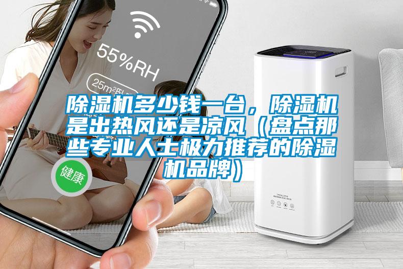 除濕機(jī)多少錢一臺(tái)，除濕機(jī)是出熱風(fēng)還是涼風(fēng)（盤點(diǎn)那些專業(yè)人士極力推薦的除濕機(jī)品牌）