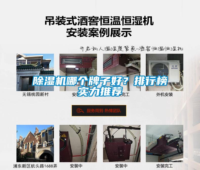 除濕機哪個牌子好？排行榜實力推薦
