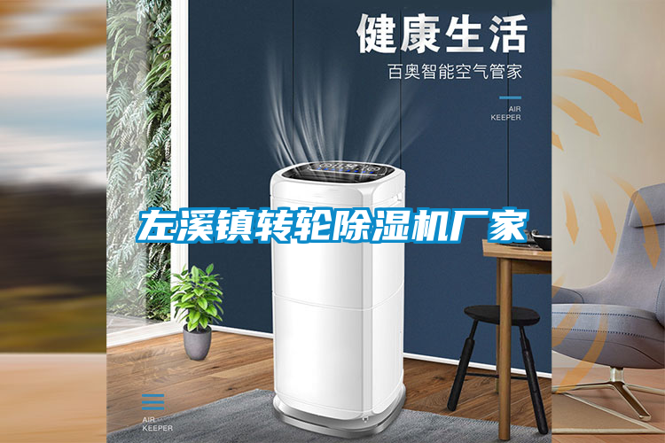 左溪鎮(zhèn)轉輪除濕機廠家