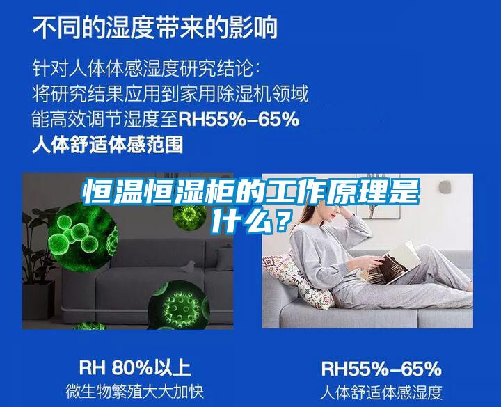 恒溫恒濕柜的工作原理是什么？
