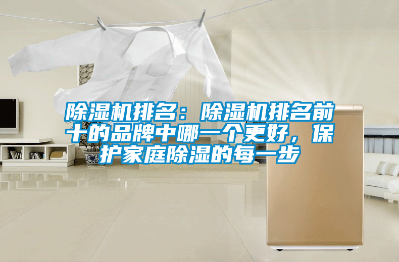 除濕機排名：除濕機排名前十的品牌中哪一個更好，保護(hù)家庭除濕的每一步