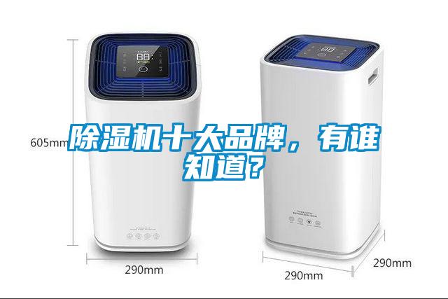除濕機十大品牌，有誰知道？