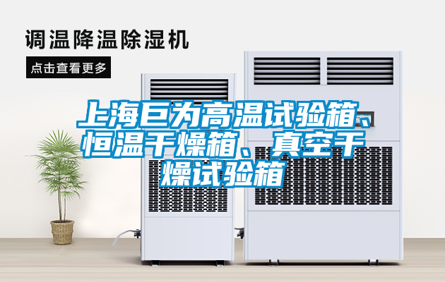 上海巨為高溫試驗(yàn)箱、恒溫干燥箱、真空干燥試驗(yàn)箱