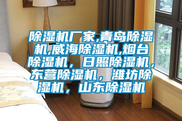 除濕機(jī)廠家,青島除濕機(jī),威海除濕機(jī),煙臺(tái)除濕機(jī)，日照除濕機(jī)，東營除濕機(jī)，濰坊除濕機(jī)，山東除濕機(jī)