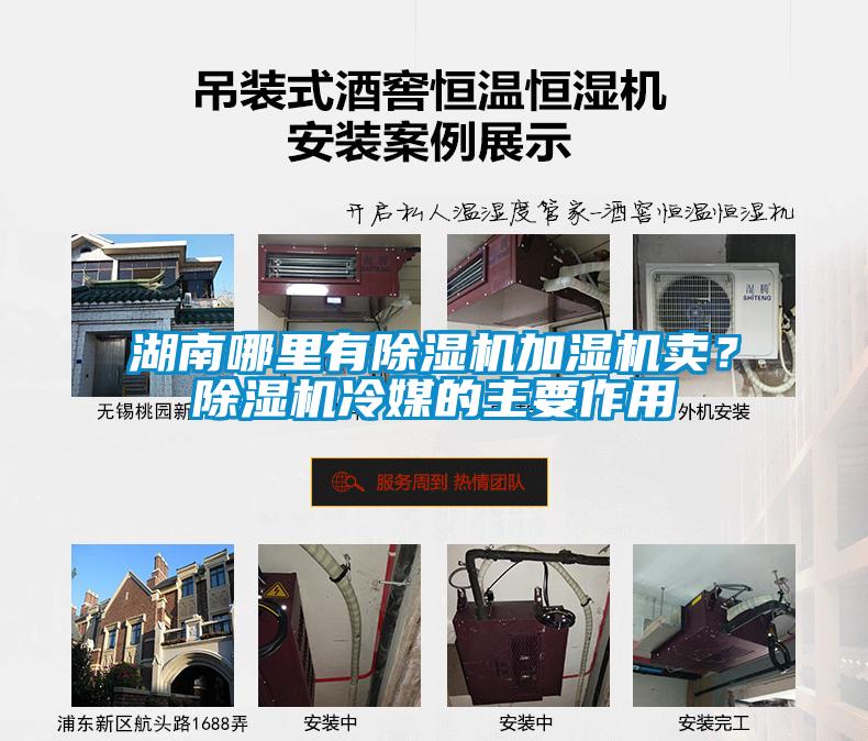 湖南哪里有除濕機(jī)加濕機(jī)賣？除濕機(jī)冷媒的主要作用