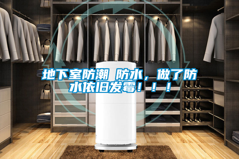 地下室防潮≠防水，做了防水依舊發(fā)霉！??！