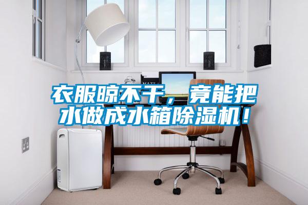 衣服晾不干，竟能把水做成水箱除濕機！