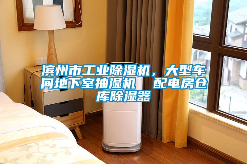 濱州市工業(yè)除濕機(jī)，大型車間地下室抽濕機(jī)  配電房倉(cāng)庫(kù)除濕器