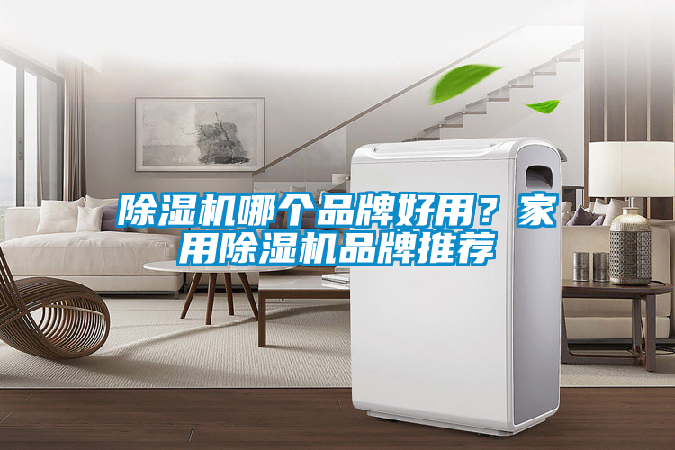 除濕機哪個品牌好用？家用除濕機品牌推薦