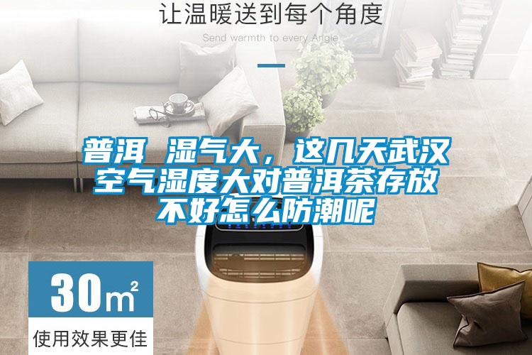 普洱 濕氣大，這幾天武漢空氣濕度大對普洱茶存放不好怎么防潮呢