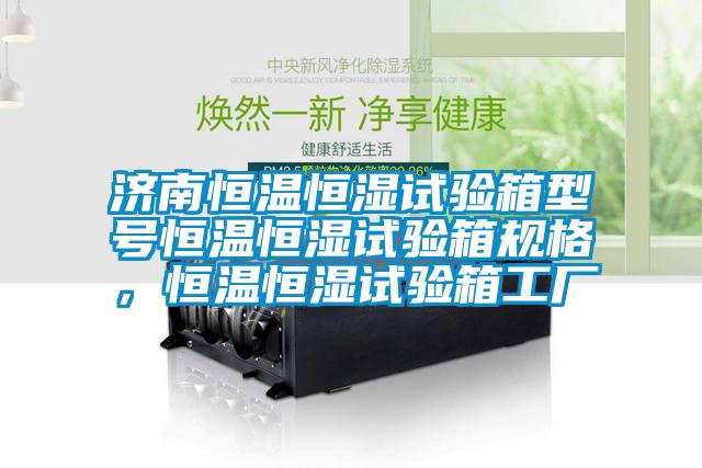 濟(jì)南恒溫恒濕試驗(yàn)箱型號恒溫恒濕試驗(yàn)箱規(guī)格，恒溫恒濕試驗(yàn)箱工廠