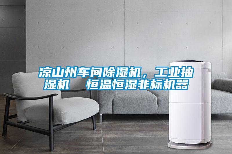 涼山州車間除濕機(jī)，工業(yè)抽濕機(jī)  恒溫恒濕非標(biāo)機(jī)器