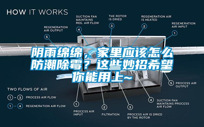 陰雨綿綿，家里應(yīng)該怎么防潮除霉？這些妙招希望你能用上~