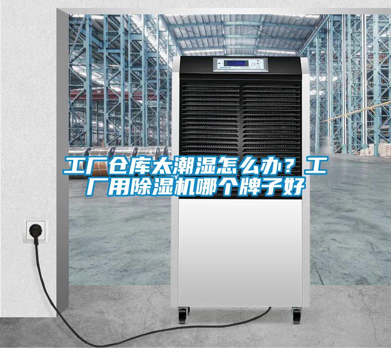 工廠倉庫太潮濕怎么辦？工廠用除濕機(jī)哪個牌子好