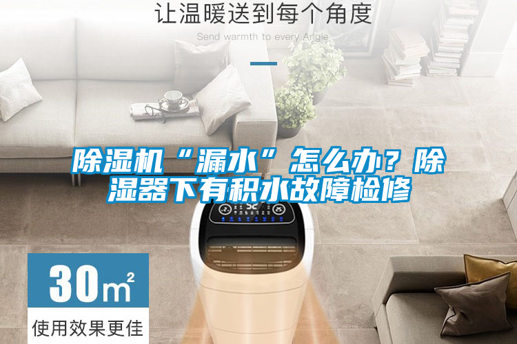 除濕機“漏水”怎么辦？除濕器下有積水故障檢修